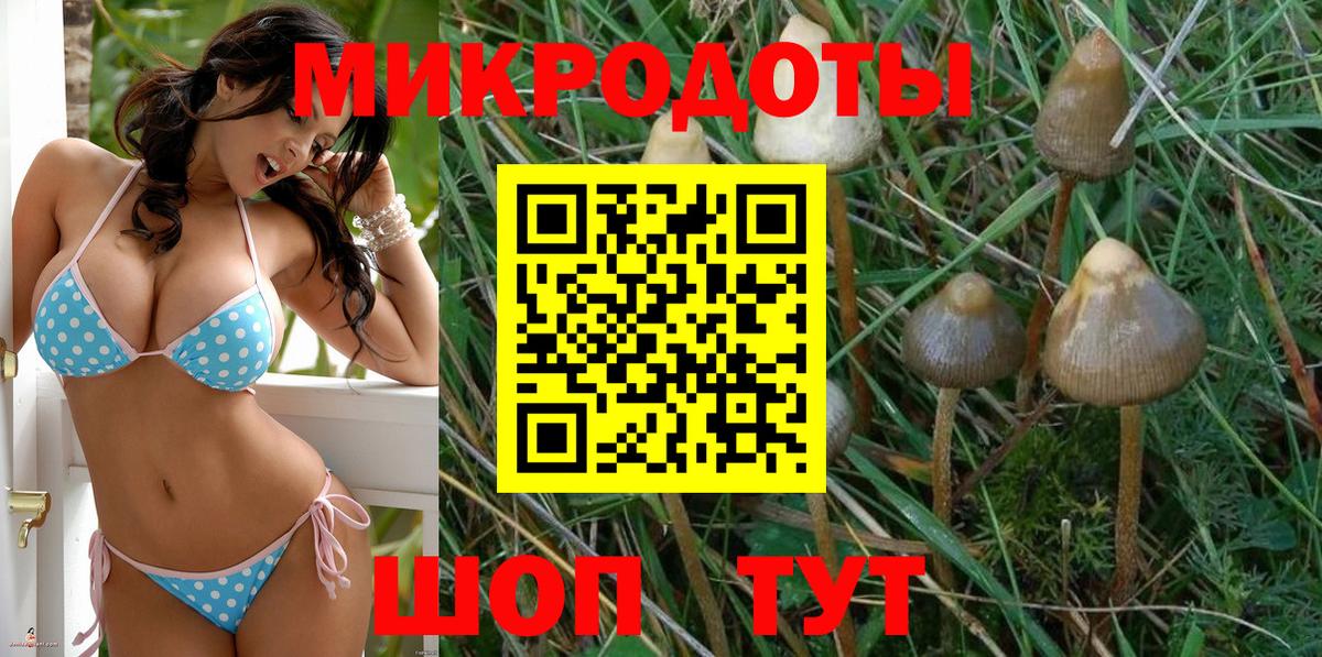 Псилоцибиновые грибы Psilocybe Раменское