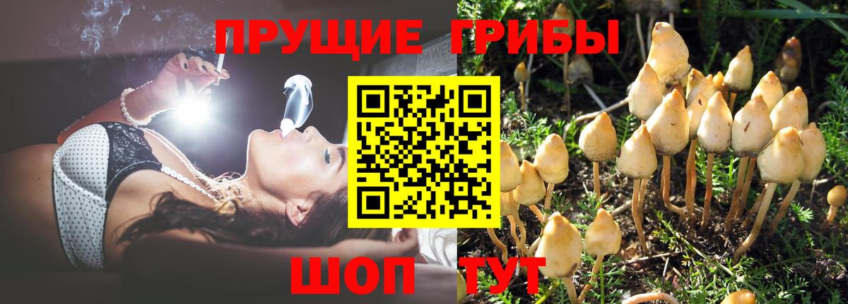 Псилоцибиновые грибы мицелий  Вход с VPN  Галлюциногенные грибы GOLDEN TEACHER  Раменское 